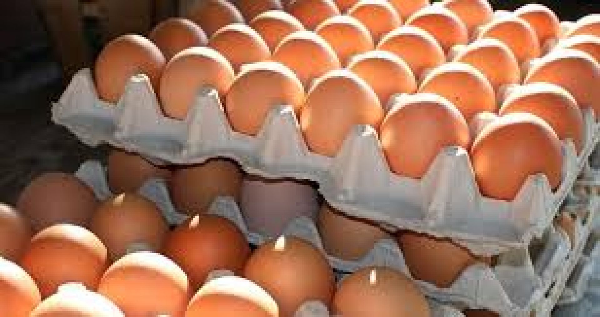 गर्मीले अण्डा उत्पादन घट्दा लागत बढ्यो